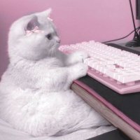 La de las nubes (@michicornio_nef) 's Twitter Profile
