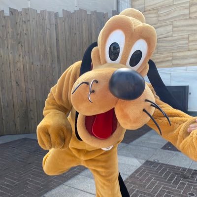 pluchan_0104's profile picture. ONE PIECE ゾロ♡ ／ ディズニー大好き。プルート＆フィガロ♡ ／ USJ年パス所有 ／ 動画派です。写真は上手く撮れません😭