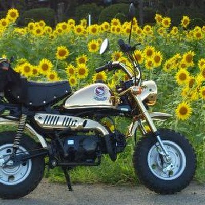 O784YQDatI15969's profile picture. 四季を感じるため気の向くまま走ってます