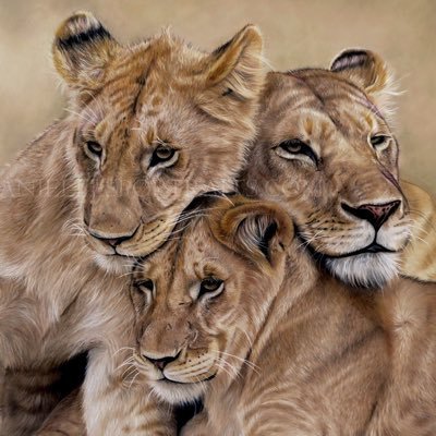 Danielle Fisher - Artistさんのプロフィール画像