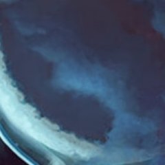 wowfanさんのプロフィール画像