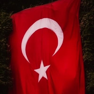 Talha0690's profile picture. .