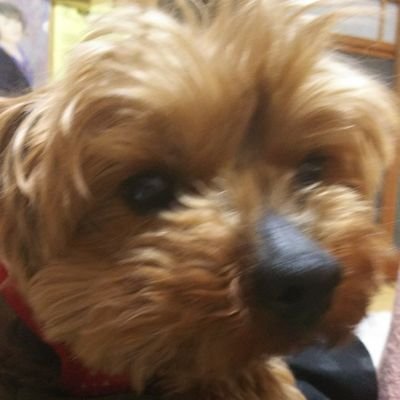 マドールさんのプロフィール画像