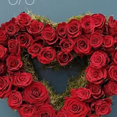 YunusOpeye93123's profile picture. 