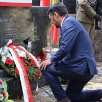 Lech Parell (@lechparell) 's Twitter Profile