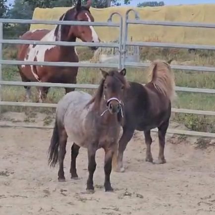 DelunePerle's profile picture. Finché c'è vita c'è speranza❤🌷🥿