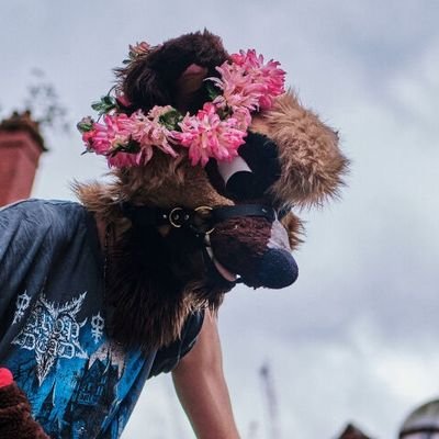 @Gayer_Blue_Dog