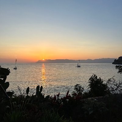 Cfc_Alex_Cfc's profile picture. 