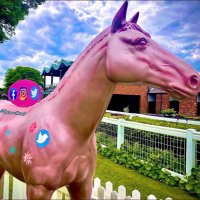 Ripon Races (@riponraces) 's Twitter Profile