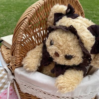 めぐさんのプロフィール画像