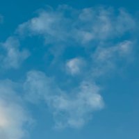 自然生活🐶🐱🕊犬猫鳥他迷子RT多め,保護,里親情報 リプの通知がこないことがあります (@sizen_seikatu) 's Twitter Profile Photo 自然生活🐶🐱🕊犬猫鳥他迷子RT多め,保護,里親情報 リプの通知がこないことがあります (@sizen_seikatu) 's Twitter Profile Photo