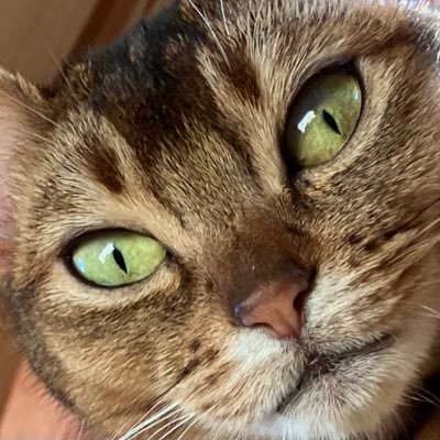 U8iV4kjktOfkYnB's profile picture. aloneinchiba