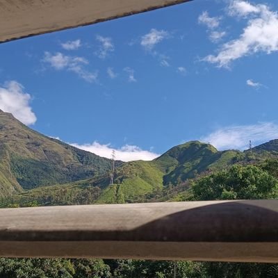 salseando1234's profile picture. Salsa.