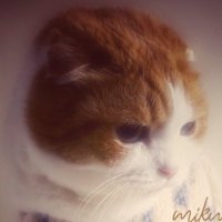 ใตใใญใฆใฟใฎๆฅๅธธแฐโ๐ผ (@saburouta_lovee) 's Twitter Profile Photo ใตใใญใฆใฟใฎๆฅๅธธแฐโ๐ผ (@saburouta_lovee) 's Twitter Profile Photo