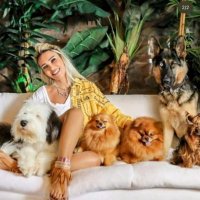 seren serengil (@serenseren14671) Twitter profile photo