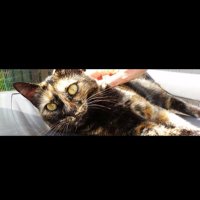 Anita 💉☠️♋️☮️ (@unaveridad) 's Twitter Profile Photo