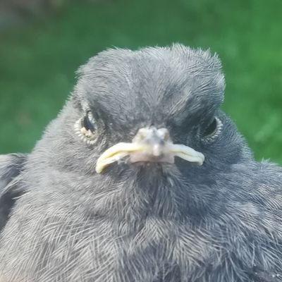 Witaj, Potrafisz zmienić świat na lepsze ? Chętnie o tym powiedz.