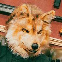 狼聿 (@wolfyu200605) 's Twitter Profile Photo 狼聿 (@wolfyu200605) 's Twitter Profile Photo