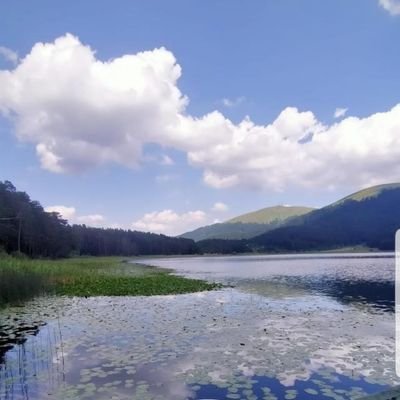 elvanas46606429's profile picture. 