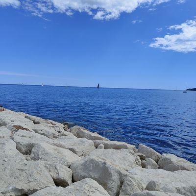 sophietruc3's profile picture. Prof de Lettres. N'aime pas les extrêmes. Ne crois pas à la dédiabolisation du RN. #Renaissance. 🇮🇱🇨🇵🇺🇦🎗️#bringthemhomenow
#TAEM