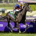 Horseracing8767 (@horseracing8767) Twitter profile photo Horseracing8767 (@horseracing8767) Twitter profile photo