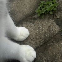 πͺ you make a good content, so i (@minashare) 's Twitter Profile