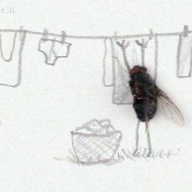 miladdogecoindo's profile picture. Airdrop ...  

bamboodrop.base.eth

Most Liquid Perp Dex @avituslabsxyz 
@MorphLayer