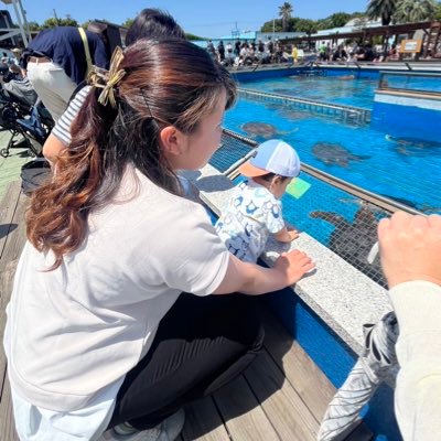 ちょぼいさんのプロフィール画像