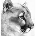 Gail Augustine - @AlwaysATarheel - Twitter