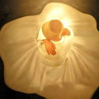 Eman Farouk ๐ฆ
(@eman_farouk) 's Twitter Profile