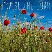 iam_folorunso's profile picture. Cool headed guy