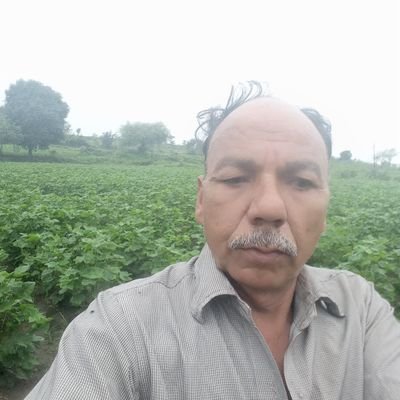 mangilal laad chemist