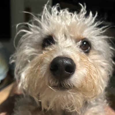 Raul_Suave1976's profile picture. 