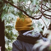 rob 🌿 (@robably__) 's Twitter Profile Photo rob 🌿 (@robably__) 's Twitter Profile Photo