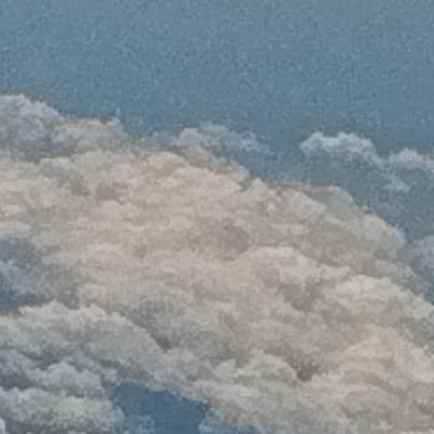 wakawaka541waka's profile picture. 