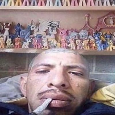 TB Profile