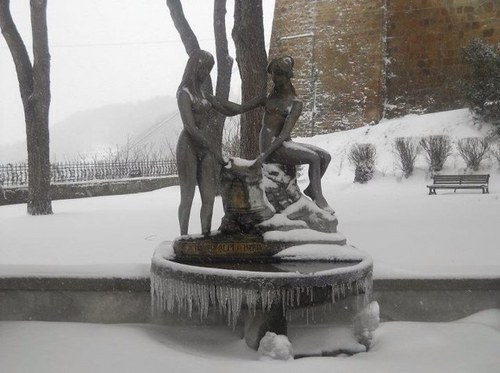 MCaprasecca's profile picture. 