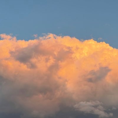 SarcasmForAll's profile picture. 