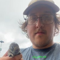 Zseth (@_zseth_) 's Twitter Profile