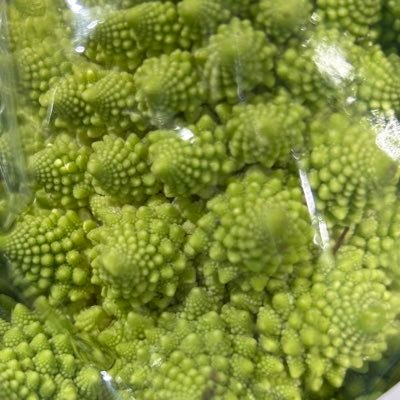 Dr_T_Science's profile picture. とある理学な博士の頭の中へようこそ！私の思考の備忘録。ここに書くのは全て私の個人的な感想です。こういう人もいるんです🍄科学と教育とコミュニケーション