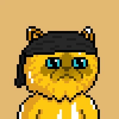 Donny_Trades's profile picture. Trading crypto since early 2017! #BTC #ETH 🟠