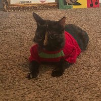 Ms. J (@ms_jay888) 's Twitter Profile