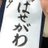 hasegawa__0