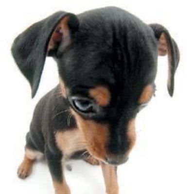 annyaslog's profile picture. Soy muchas cosas.
