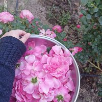 nur🍉 (@nurfyz15) Twitter profile photo