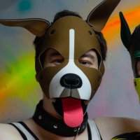Pup Rafe (@puprafe) 's Twitter Profile