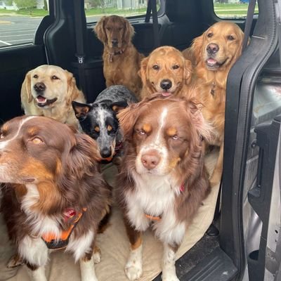 Married/Dad/Golden Retrievers/Aussies/Hawkeyes/Redskins/Lakers/Fever/Reds/PGA/LPGA Golf/F1/Teachers/Civil Discussions