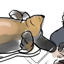 개굴밥🕶🔧さんのプロフィール画像