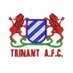 Trinant A.F.C (@trinantfc) Twitter profile photo Trinant A.F.C (@trinantfc) Twitter profile photo