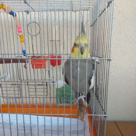 carsaf93480's profile picture. 